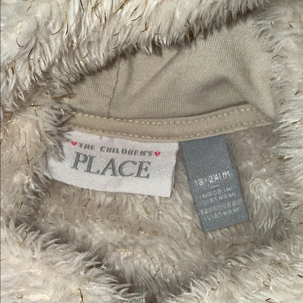 (2) Toddler Children’s Place Hoodies